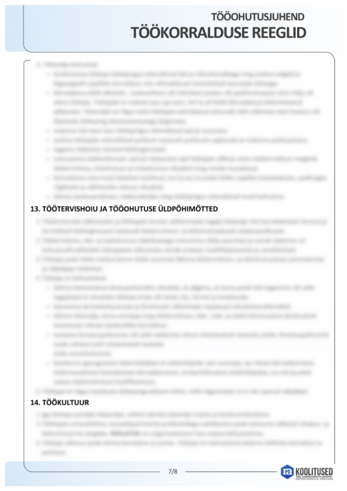 Töökorralduse reeglid - Image 7
